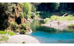 Three Humboldt County Cannabis Growers Fined $209k for Sediment Discharge Into Mad River
