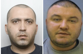 Essex Police search for men after cannabis factory discovered