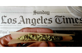 The LA Times Is Still Testing Employees For Cannabis - Why?