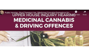 Public Hearing - Road Transport Am. (Medicinal Cannabis-Exemptions from Offences) - 16 June 2022