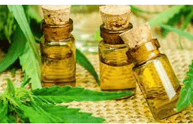 CBD oils: extraction, types of oils and benefits