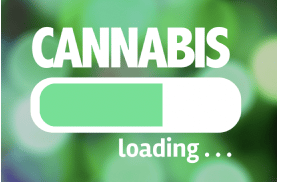 Harris Bricken: Federal Cannabis Legislation: The CAOA is Back!