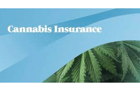 Can You Get Insurance Coverage for Your Cannabis Business?