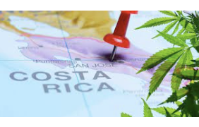 Regulations for the Production of Industrial Hemp are Established in Costa Rica