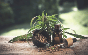 Legal Aspects of CBD Product Purchases: 4 Facts to Know