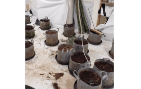 UK: Police find cannabis factory in Harrow after complaints from residents