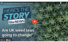 Are UK cannabis laws going to change? | ITV News