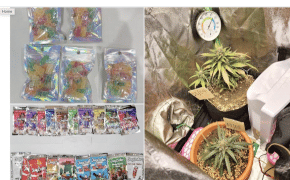 Singapore: Candy suspected to contain cannabis seized in drug raids; 117 arrested