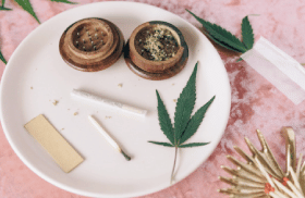 5 Features of High-Quality Marijuana Pre-Rolls That You Need to Look Out for
