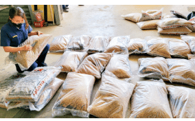 Tapei:  Police make arrests after cannabis shipment found