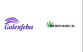 Galenfeha, Inc. Establishes a Position in a Hemp Cultivation and Product Sales Company