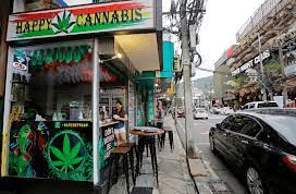NY Times Article: Weed Is Now Legal in Thailand. How Long Will the High Times Last?