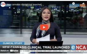 South Africa - New cannabis clinical trial launched