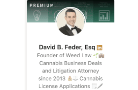 Want to follow NY Developments Day By Day - We're Finding That Lawyer David Feder Is The Place To Check In Daily