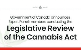 Canadian Government Names Members to Cannabis Act Review Panel