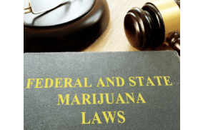 An Essential Guide To Cannabis Legalization By State 