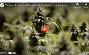 Sky News Victoria: ‘Guaranteed’ cannabis will be legalised in Victoria in the ‘next four years’