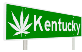Kentucky’s medical marijuana executive order goes into effect Jan. 1. What to know