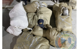CANU agents in Guyana make $20M Christmas cannabis bust