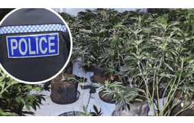 UK: Great Yarmouth: Cannabis factory found at former Royston Hotel
