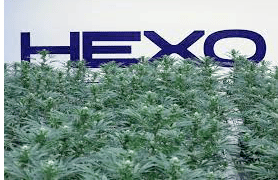 HEXO Launches Five New Cannabis Strains Under Market-Leading Redecan and Original Stash Brands