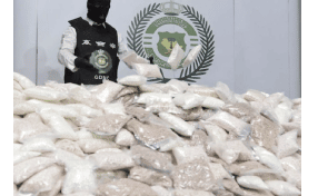 Saudi Arabia busts 81kg of hashish at border crossing