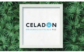 UK-based Celadon Pharmaceuticals PLC received the green light to produce high-THC medicinal cannabis in its Midlands facility
