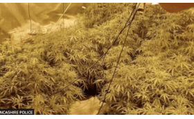 Lancashire Police shut down 70 cannabis farms worth £2m