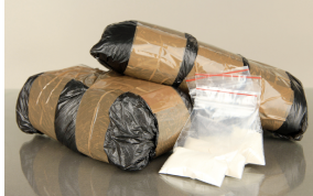 Brazilian teenager arrested for bringing 3.6 kg cocaine into Bali  This article was published in thejakartapost.com with the title "Brazilian teenager arrested for bringing 3.6 kg cocaine into Bali".
