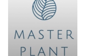 Master Plant Awarded Cannabis Licence In Guernsey