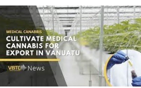 Vanuatu set to enter global cannabis market after passing cultivation, export laws – but some remain sceptical