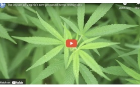 News Report - Video: The impact of Virginia's new proposed hemp restrictions