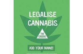 Cannabiz report: NSW Greens announce plans to legalise recreational cannabis after the election
