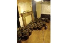 UK:  Man charged after 187 cannabis plants were found growing at property in Skegness