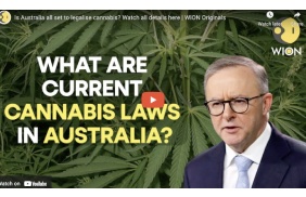 Is Australia all set to legalise cannabis? Watch all details here | WION Originals