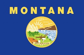 Article: Montana -"Where to allocate weed tax revenues?"