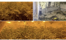 UK: Police discover cannabis farm worth £60k in Chadderton