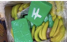 Norway: More cocaine seized in 2nd Oslo Banana Shipment In As Many Weeks