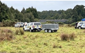 NZ: 3 arrests after cannabis growing sites found deep in Central Otago wilderness