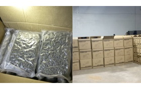 Wyoming: State agents seize more than 7,000 pounds of marijuana in black-market pot bust