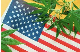 Nearly All Federal Cannabis Charges in 2022 Related to Trafficking