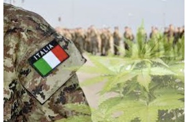 Italian Military Halts Production Of Medical Cannabis Production Piling Pressure On Supply Chain