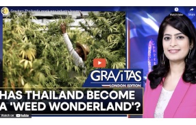 Video: Gravitas: Thailand's cannabis industry booms