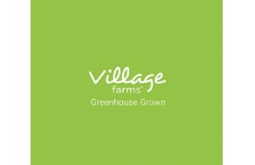 Village Farms International Announces Launch of Its Cannabis Products in Germany