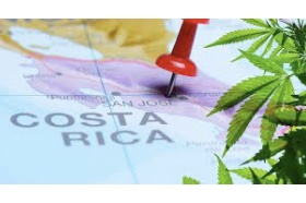 First Medical Cannabis License Issued in Costa Rica .. Azul Wellness S.A. will open an 800-square-foot medical cannabis cultivation and processing greenhouse in Guanacaste.