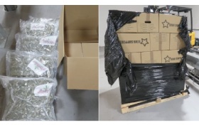 Belfast: Cannabis estimated to be worth £6m seized at port