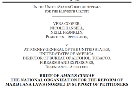 NORML Legal Committee Submits Amicus Brief in Federal Case Challenging Government’s Gun Ban for Medical Cannabis Consumers