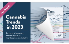 New Frontier Publish Report - Cannabis Trends in 2023: Products, Consumers and the Impact of Prohibition on the Industry