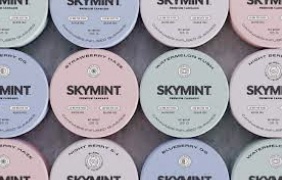 Michigan Cannabis Business Skymint to auction off assets post filing of  lawsuit