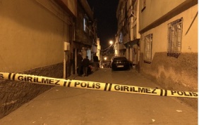 Turkey: Police raid finds marijuana greenhouse worth $232,000 in Istanbul